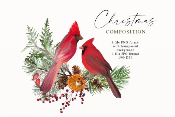 Christmas Cardinal Birds Clipart PNG for Illustrations
